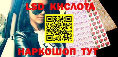 Альфа ПВП Новодвинск