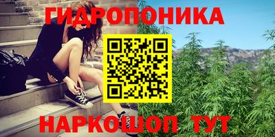 Альфа ПВП Новодвинск