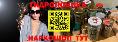 Альфа ПВП Новодвинск