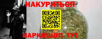 Альфа ПВП Новодвинск