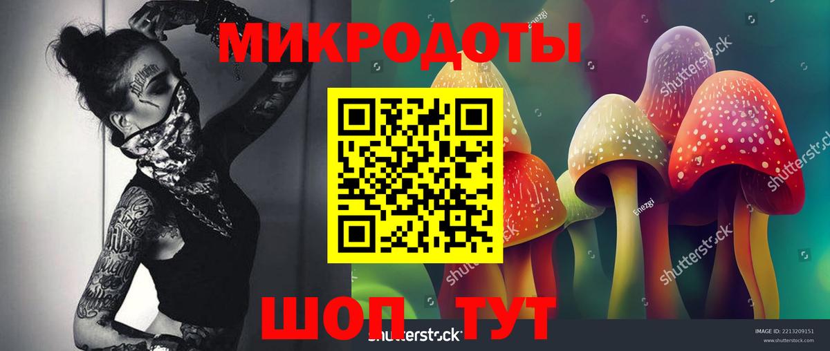 Псилоцибиновые грибы MAGIC MUSHROOMS Алушта