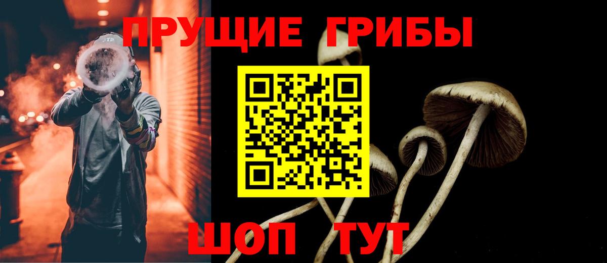 Галлюциногенные грибы GOLDEN TEACHER  Вход с VPN  Псилоцибиновые грибы Psilocybine cubensis  Алушта 